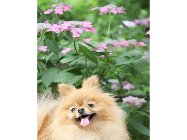 投稿写真