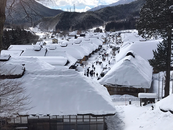投稿写真